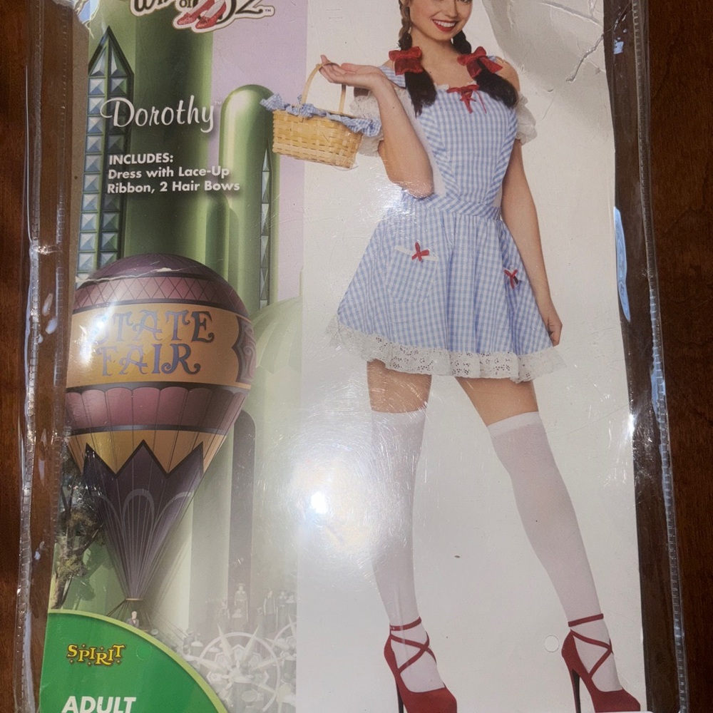Spirit Halloween Large Dorothy Costume